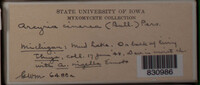 Image Associated With the Occurence